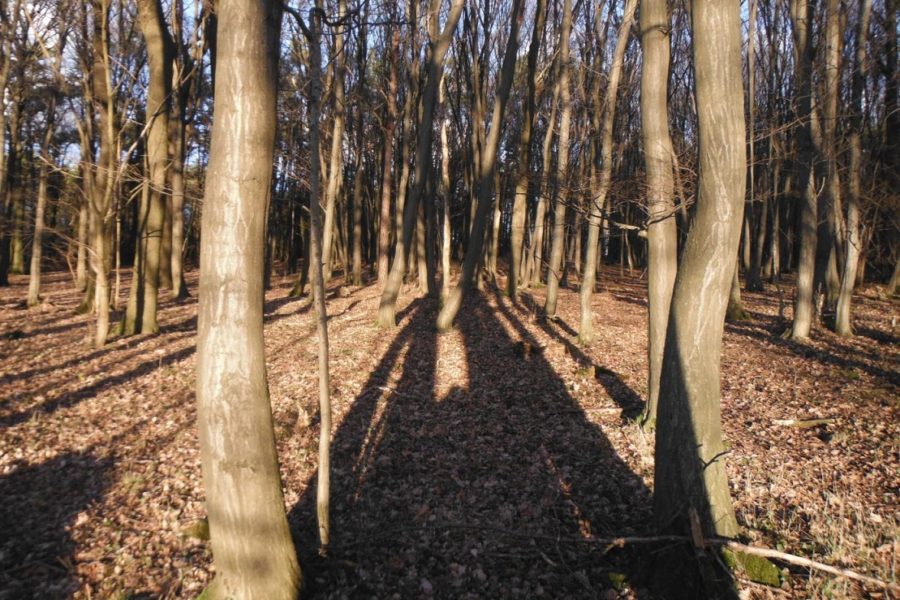 Friedwald Eichberg