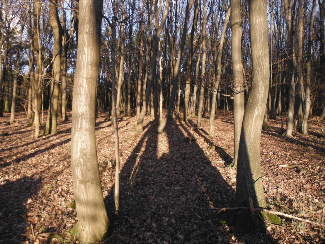 Friedwald Eichberg